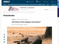 Bild zum Artikel: „Wir können nichts dagegen unternehmen“