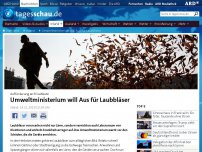 Bild zum Artikel: Umweltministerium will Aus für Laubbläser