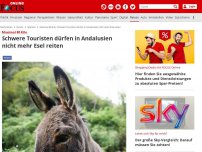 Bild zum Artikel: Maximal 80 Kilo - Schwere Touristen dürfen in Andalusien nicht mehr Esel reiten