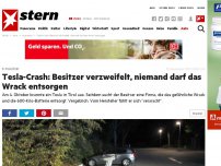 Bild zum Artikel: E-Mobilität: Tesla-Crash: Besitzer verzweifelt, niemand darf das Wrack entsorgen