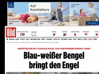 Bild zum Artikel: Mit Schalke-Schal auf Tanne - Blau-weißer Bengel Dortmund bringt den Engel