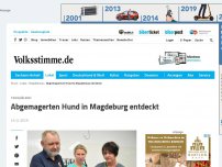 Bild zum Artikel: Abgemagerten Hund in Magdeburg entdeckt