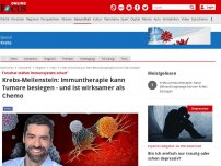 Bild zum Artikel: Forscher stellen Immunsystem scharf - Krebs-Meilenstein: Immuntherapie kann Tumore besiegen - und ist wirksamer als Chemo