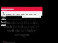 Bild zum Artikel: Rumänien: Bär stirbt nach Unfall qualvoll - weil die Behörden versagen