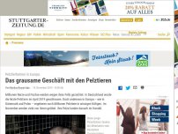 Bild zum Artikel: Pelztierfarmen in Europa: Das grausame Geschäft mit den Pelztieren