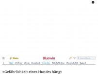 Bild zum Artikel: Vierbeiner in Luzern«Gefährlichkeit eines Hundes hängt nicht von Rasse ab»