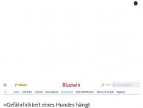 Bild zum Artikel: Vierbeiner in Luzern«Gefährlichkeit eines Hundes hängt nicht von Rasse ab»