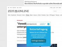 Bild zum Artikel: Klimawandel: 'Venedig wird definitiv untergehen'