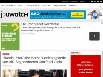 Bild zum Artikel: Skandal: YouTube löscht Bundestagsrede von AfD-Abgeordneten Gottfried Curio