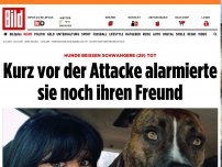 Bild zum Artikel: Hunde beißen Frau (29) tot - Kurz vorher alarmierte sie noch ihren Freund