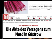 Bild zum Artikel: Asylbewerber tötet Rentnerin - Die Akte des Versagens zum Mord in Güstrow