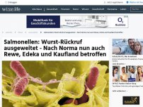 Bild zum Artikel: Salmonellen: Wurst-Rückruf ausgeweitet - Nach Norma nun auch Rewe, Edeka und Kaufland betroffen