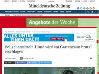 Bild zum Artikel: Polizei ermittelt: Hund wird am Gartenzaun brutal erschlagen