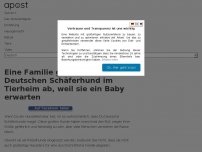 Bild zum Artikel: Eine Familie gibt einen treuen Deutschen Schäferhund im Tierheim ab, weil sie ein Baby erwarten