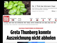 Bild zum Artikel: Nachhaltigkeitspreis - Greta Thunberg konnte Auszeichnung nicht abholen