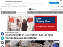 Bild zum Artikel: Buschbrände in Australien: Koalas sind 'funktional ausgestorben'