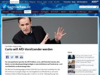 Bild zum Artikel: Curio will AfD-Vorsitzender werden