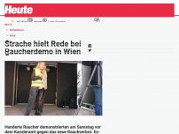 Bild zum Artikel: Strache hielt Rede bei Raucherdemo in Wien