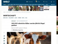 Bild zum Artikel: 200.000 männliche Kälber werden jährlich illegal getötet