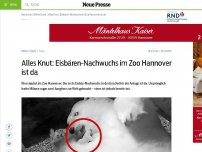 Bild zum Artikel: Alles Knut: Eisbären-Nachwuchs im Zoo Hannover ist da