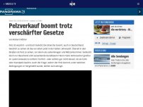 Bild zum Artikel: Pelzverkauf boomt trotz verschärfter Gesetze