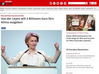 Bild zum Artikel: Neue EU-Kommissions-Chefin - Von der Leyen will 3 Billionen Euro fürs Klima ausgeben