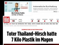 Bild zum Artikel: Horror in Nationalpark - Toter Thailand-Hirsch hatte 7 Kilo Plastik im Magen