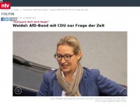 Bild zum Artikel: 'Austausch läuft doch längst': Weidel: AfD-Bund mit CDU nur Frage der Zeit