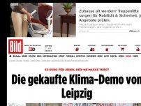 Bild zum Artikel: 50 Euro für jeden Maskenträger - Die gekaufte Klima-Demo von Leipzig