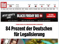 Bild zum Artikel: Doku zu medizinischem Cannabis - 84 Prozent der Deutschen für Legalisierung
