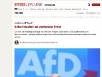 Bild zum Artikel: Gestärkter AfD-'Flügel': Scharfmacher an vorderster Front
