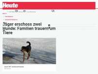 Bild zum Artikel: Jäger erschoss zwei Hunde: Familien trauern um Tiere