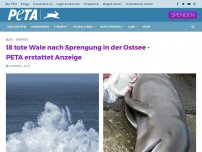 Bild zum Artikel: 18 tote Wale nach Sprengung in der Ostsee - PETA erstattet Anzeige