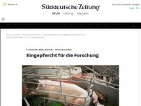 Bild zum Artikel: Veterinärmedizin: Eingepfercht für die Forschung