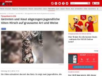 Bild zum Artikel: Tierquälerei in USA - Getreten und Haut abgezogen: Jugendliche töten Hirsch auf grausame Art und Weise