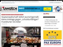 Bild zum Artikel: Staatanwaltschaft liefert wunschgemäß: Keine Anklage gegen „schuldunfähigen“ Frankfurter ICE-Killer