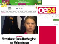 Bild zum Artikel: Verein bietet Greta Thunberg Esel zur Weiterreise an