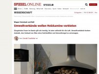 Bild zum Artikel: Wegen Feinstaub und Ruß: Umweltverbände wollen Holzkamine verbieten