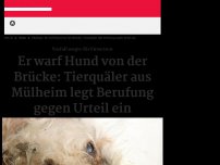 Bild zum Artikel: Hund getötet - 6 Monate Haft