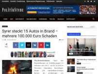 Bild zum Artikel: Syrer steckt 15 Autos in Brand – mehrere 100.000 Euro Schaden