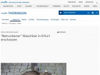 Bild zum Artikel: Erfurter Weihnachtsmarkt: Betrunkener Waschbär erschossen