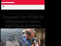 Bild zum Artikel: Von anderen Hunden gerettet