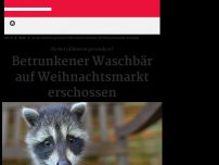 Bild zum Artikel: Betrunkener Waschbär auf Weihnachtsmarkt erschossen