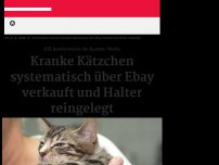 Bild zum Artikel: RTL konfrontiert Katzen-Mafia