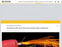 Bild zum Artikel: Baumarktkette wird böllerfrei: Hornbach will 2020 kein Feuerwerk mehr verkaufen