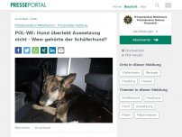 Bild zum Artikel: POL-WE: Hund überlebt Aussetzung nicht - Wem gehörte der Schäferhund?