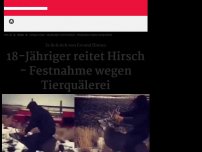 Bild zum Artikel: Festnahme wegen Tierquälerei