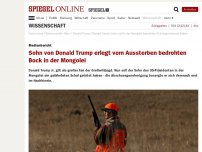 Bild zum Artikel: Medienbericht: Sohn von Donald Trump erlegt vom Aussterben bedrohten Bock in der Mongolei