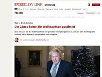 Bild zum Artikel: Wahl in Großbritannien: Die Gänse haben für Weihnachten gestimmt