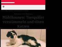 Bild zum Artikel: Mühlhausen: Tierquäler verstümmeln und töten Katzen